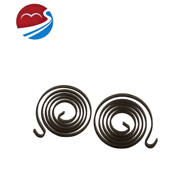 Stainless Steel Constant Force Spring